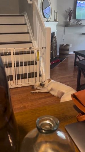 Скучновато утро началось))