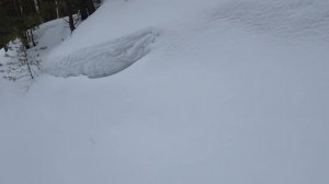 С. ТЮХТЕТ) Косули, Рыси, зайцы подошли к улицам. Красоты малой Родины.