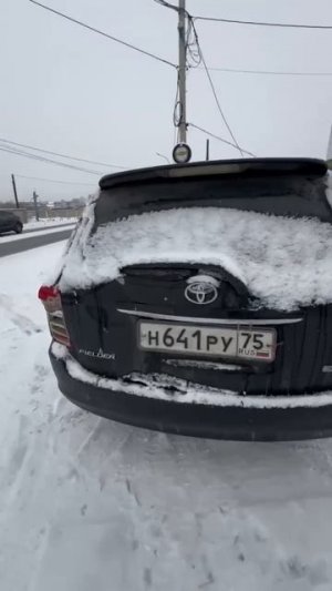 Иногда привозят такие вот варианты "не битых, не крашеных"