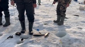 20.03.26 г. РК Волна.