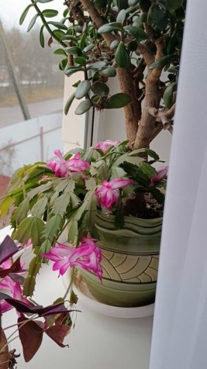 ООбращение к подписчикам.