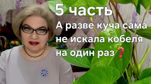 5 часть. А разве куча сама не искала кобеля на случку на один день❓️