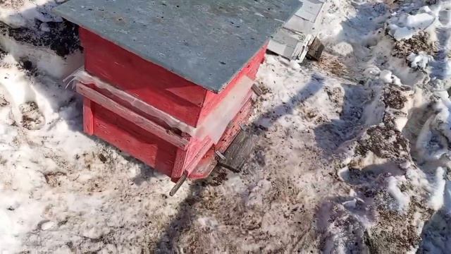 Весенний облёт пчел после зимовки.mp4 смотреть онлайн