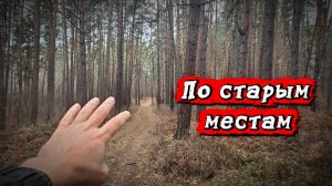 Монеты, пули, коп в лесу.