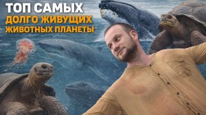 Долгожители нашей планеты