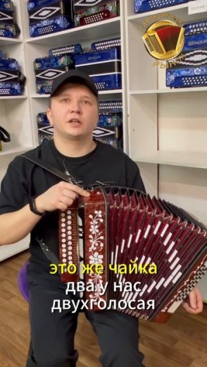 Восстановленная гармонь против новой! Какая звучит лучше? #купитьгармонь #гармонь #шуйскаягармонь