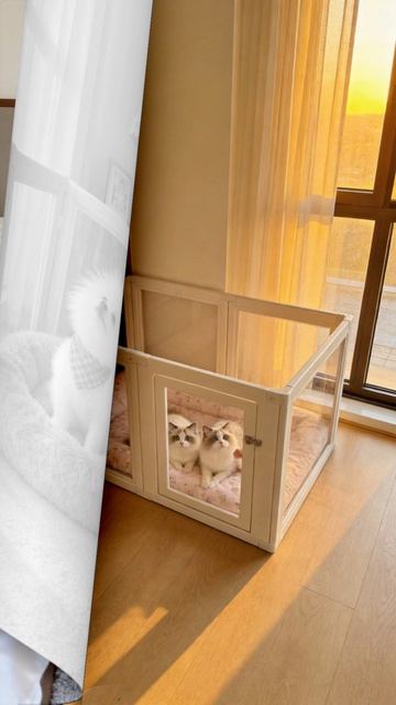 Как вы думаете, стоит ли подготовить для питомцев такое прозрачное ограждение? 🐾✨