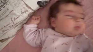 Патюля пробуждается