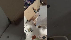 VID_20260319_174728.mp4