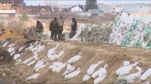 Парламентарии поддержали инициативу Почетного гражданина Тюмени об установлении Дня тружеников тыла