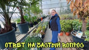 ВЛОГ! Сгоняли в питомник! Ответил где мой папа