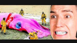 Глент перезалив с Ютуба.mp4