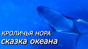 Кроличья нора в Краснодаре. Подводный мир✅