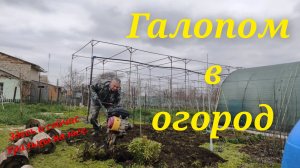 Заживём!Заслуженная свобода.Колхозники.