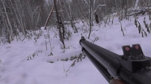 Охота с лайкой на лося,проверил капканы на куницу,есть добыча,готовлю тушёнку и ужин.