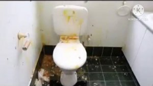 Разбил унитаз