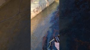 Синька в реку.