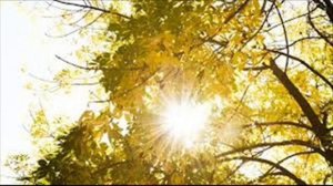 Песня  В СВЕТЕ СОЛНЕЧНОГО ДНЯ