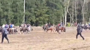 В Подмосковье суд оштрафовал организатора тюркской игры с тасканием туши козла