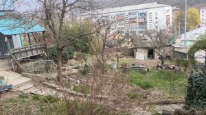 Участок, с Кривеньковское