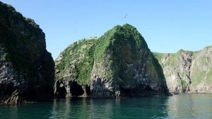 Морская прогулка на Камчтаке. Остров Старичков и птицы.