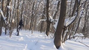 похищенный для леса ЧАСТЬ 39