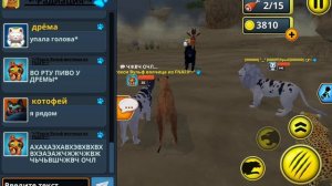 Всем привет!котята😺