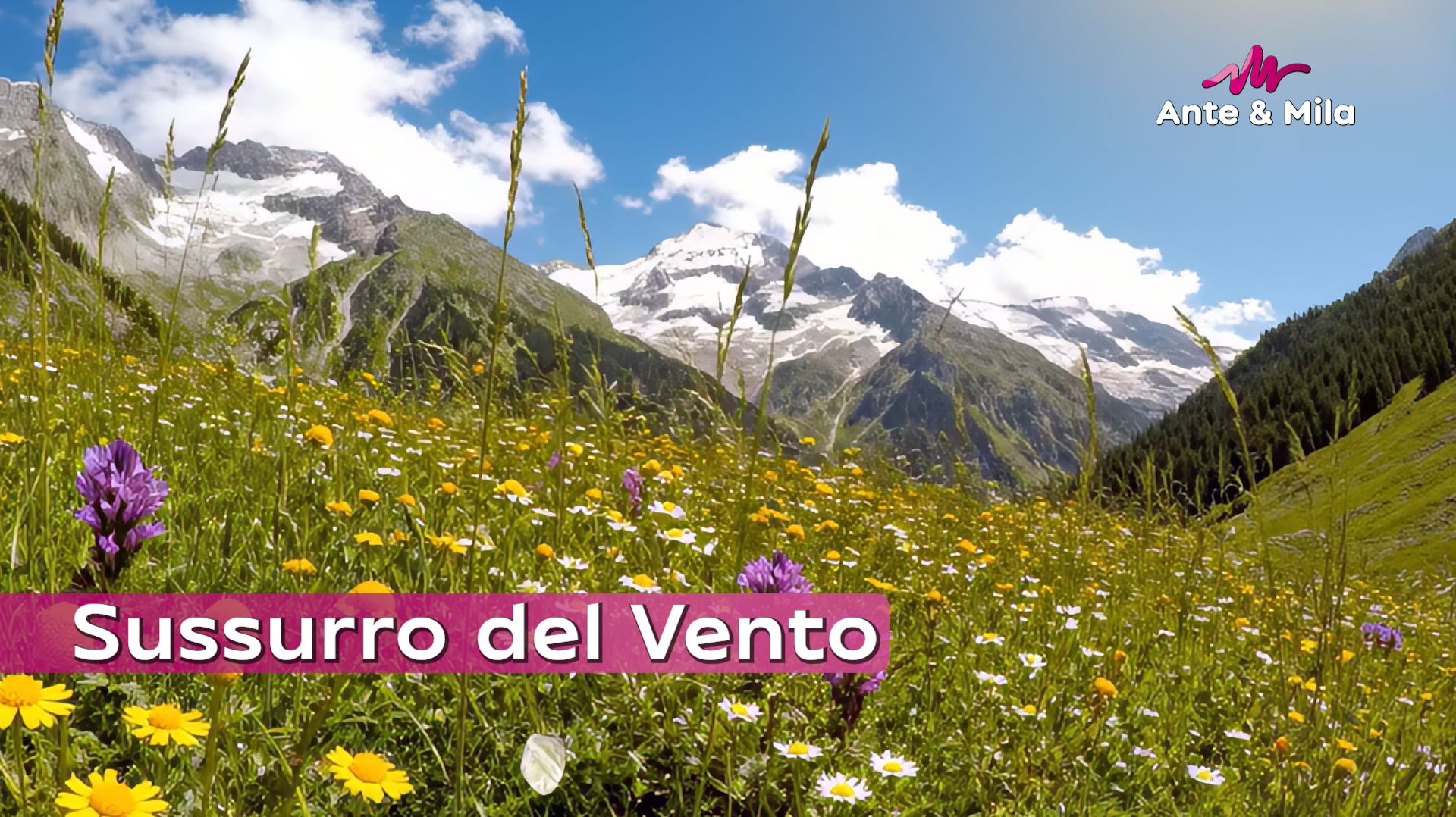 Анте & Мила - Sussurro del Vento