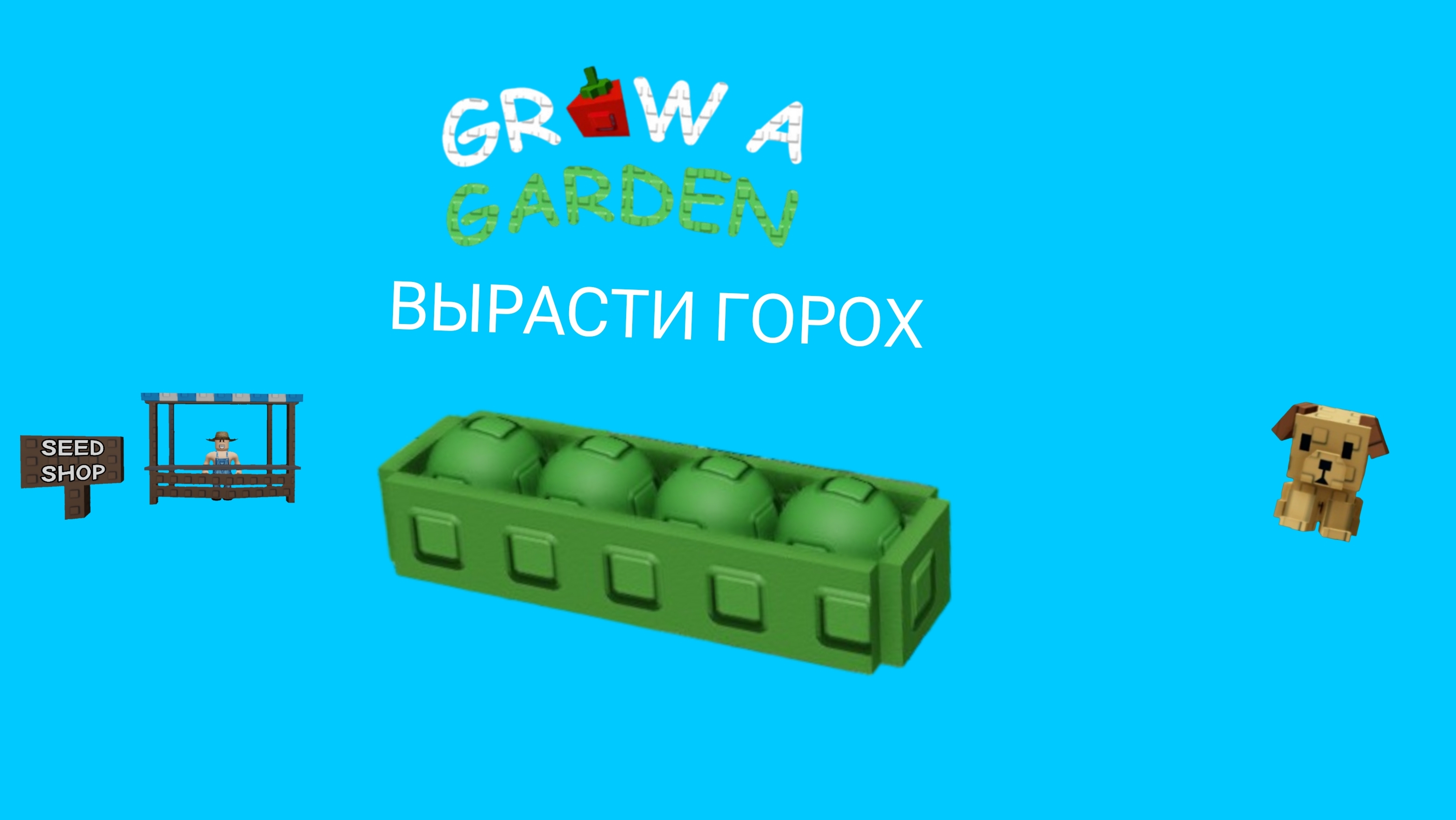 Вырастил горох