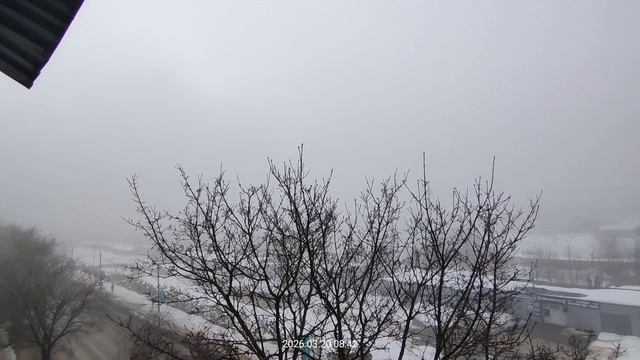 20.03.2026.Сильный туман
