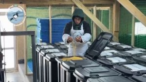 ‼️Открытие голубедрома в Караганде Казахстан ‼️