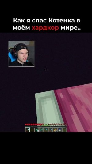 Спаси Котика, Пройди Хардкор Майнкрафт!😿💀 #shorts #шортс #minecraft #майнкрафт #майн #грусть #мем