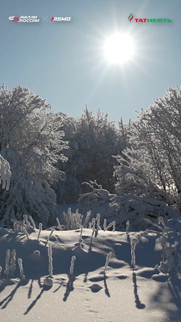Зима, в этом спортивном сезоне, была великолепна! Да?