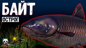 RF4 Меня просто конкретно байтят #рр4