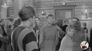 Птичка-невеличка|Автор-Ольга Павлова|Стихи, Суно,Видео|Мал золотник-да дорог!Пос.женщинам маленького