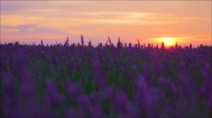 Родительская суббота 21 марта. Строгие запреты.