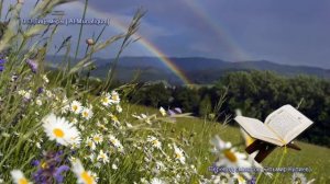 63. Сура Аль-Мунафикун (Al-Munafiqun | المنافقون) — Слушать перевод Корана на русском языке 🕌