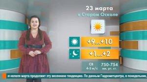 Погода в Старом Осколе на 23 марта