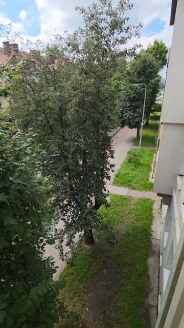 video_2025-07-22_14-08-07