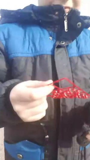 гуляем с другом