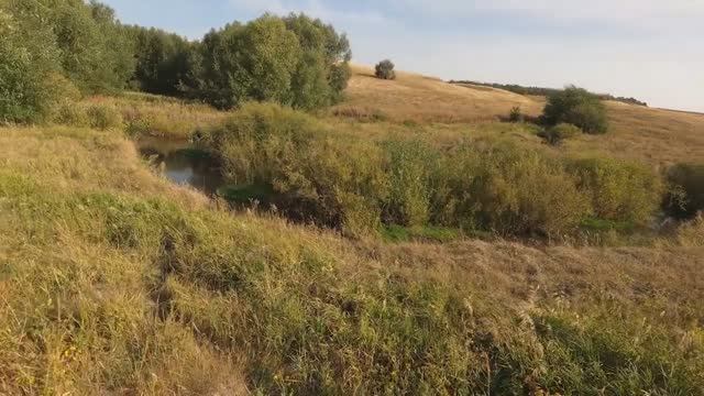 НА ОХОТЕ В САРАТОВСКОЙ ОБЛАСТИ