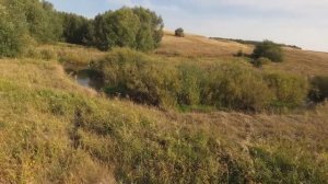 НА ОХОТЕ В САРАТОВСКОЙ ОБЛАСТИ