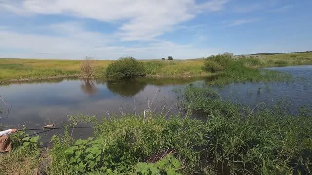 ЛЕТНЯЯ РЫБАЛКА В САРАТОВСКОЙ ОБЛАСТИ