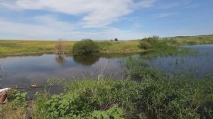 РЫБАЛКА ЛЕТОМ В САРАТОВСКОЙ ОБЛАСТИ