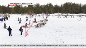 Когалым готовится ко Дню оленевода