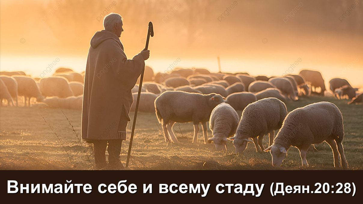 Внимайте себе и всему стаду (Деян.20:28)