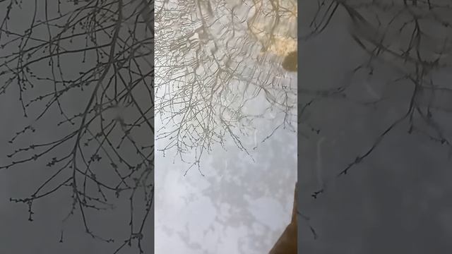 Топлю линкор второй раз