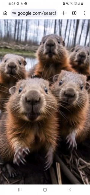 что будет дальше