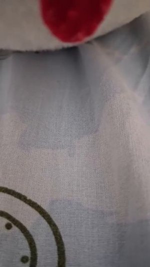 пишите вопросы