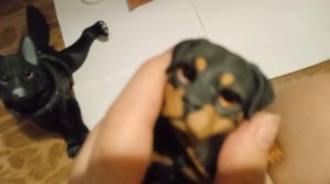 купаю Чафи)